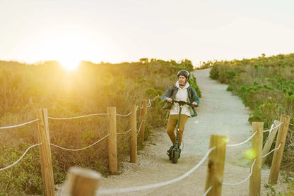 Segway KickScooter P65E