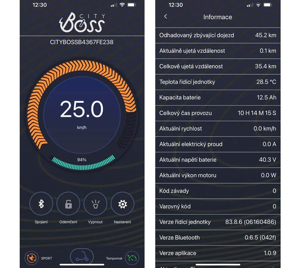 City Boss RS250 – Čierna