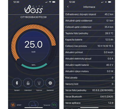 City Boss RS250 – Čierna